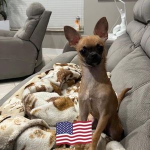 Meet your Posher, Leonor